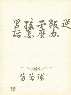 男孩子叛逆不听话怎么办封面