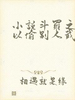 小说斗罗之我可以偷别人武魂