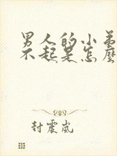 男人的小弟弟硬不起是怎么回事