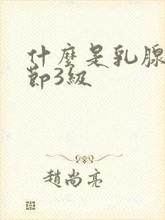 什么是乳腺有结节3级