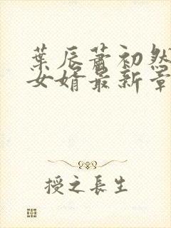 叶辰萧初然上门女婿最新章节封面