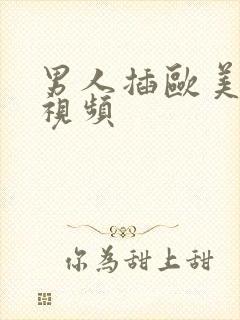 男人插欧美女人视频