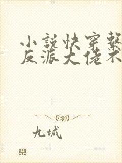 小说快穿系统:反派大佬不好惹