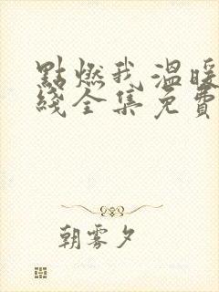 点燃我温暖你在线全集免费观看