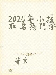 2025年小孩取名热门字