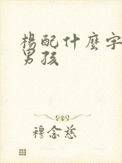 杨配什么字好听男孩