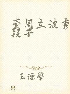 壹周立波秀经典段子