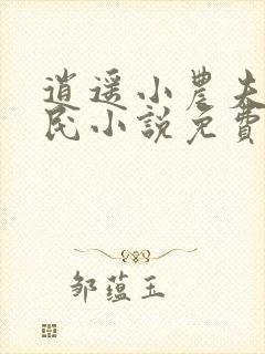 逍遥小农夫小农民小说免费版