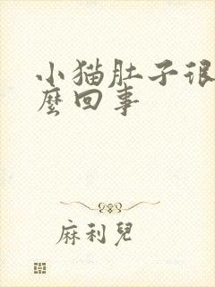 小猫肚子很大怎么回事