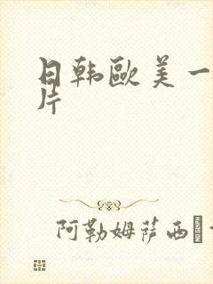 日韩欧美一级爱片