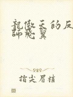 龙傲天的反派小师飞翼