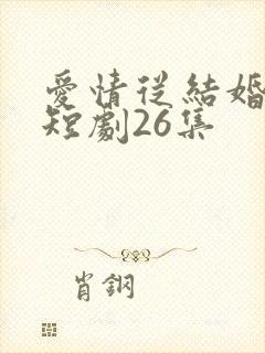 爱情从结婚开始短剧26集