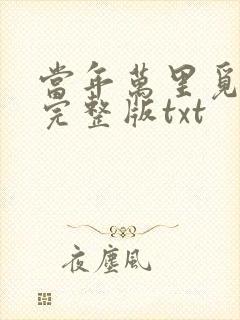 当年万里觅封侯完整版txt封面