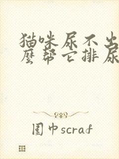 猫咪尿不出来怎么帮它排尿