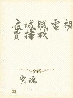 夜城赋电视剧免费播放