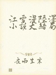 江雪漫陆泽夏沫小说大结局