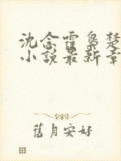 沈念霍枭楚莹莹小说最新章节更新免费阅读