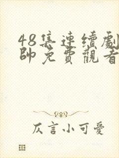 48集连续剧少帅免费观看高清