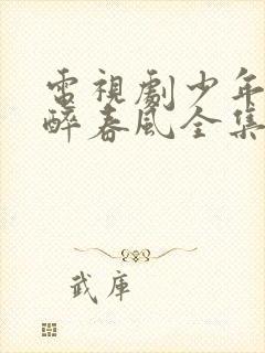 电视剧少年白马醉春风全集免费播放