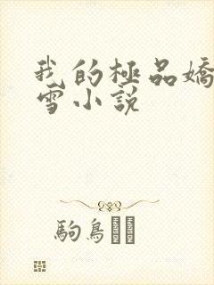 我的极品娇妻沈雪小说