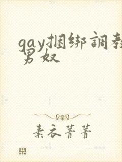 gay捆绑调教男奴