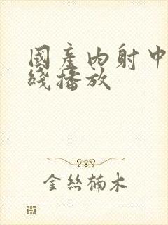 国产内射中出在线播放封面