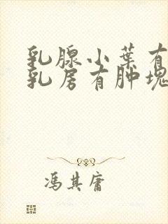 乳腺小叶有增生乳房有肿块