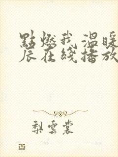 点燃我温暖你星辰在线播放免费封面