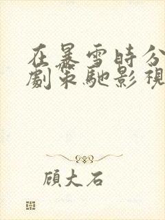 在暴雪时分电视剧策驰影视