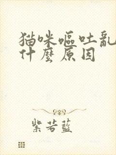 猫咪呕吐乱尿是什么原因