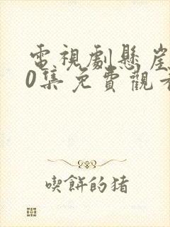 电视剧悬崖第40集免费观看