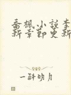 乔枫小说李婷最新章节更新