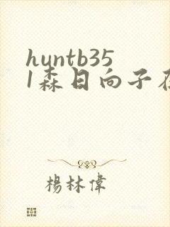 huntb351森日向子在线播放