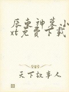 辰东神墓小说txt免费下载