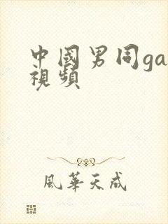 中国男同gay视频