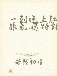 一到晚上肚子就胀气,还特能放屁是怎么回事