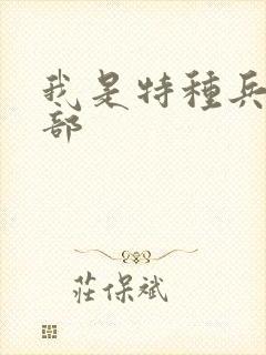 我是特种兵共几部