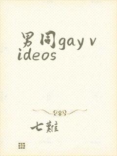 男同gay videos