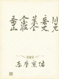 乔念叶妄川小说正版全文免费阅读