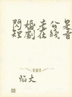 闪婚老公是豪门短剧在线看