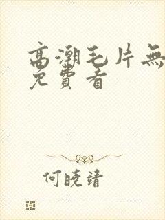 高潮毛片无遮挡免费看