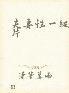 夫妻性一级黄色片