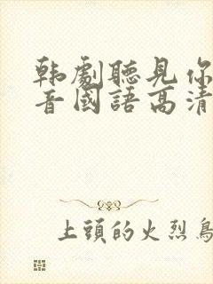 韩剧听见你的声音国语高清