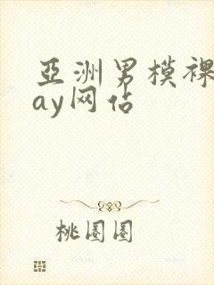 亚洲男模裸体gay网站