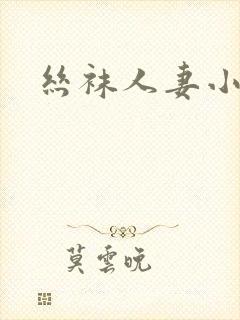 丝袜人妻小说h封面