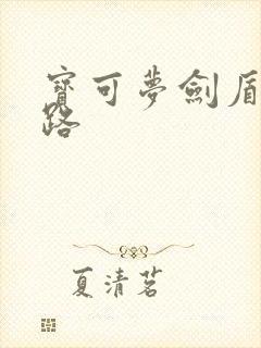 宝可梦剑盾利欧路封面