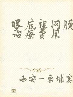 眼底视网膜变性治疗费用