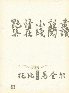 艳情小说黄蓉合集在线阅读封面