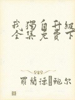 我独自升级动漫全集免费下载封面