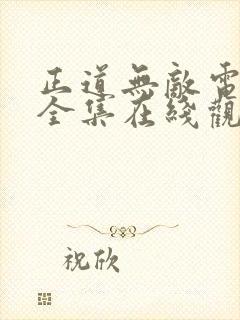 正道无敌电视剧全集在线观看免费封面